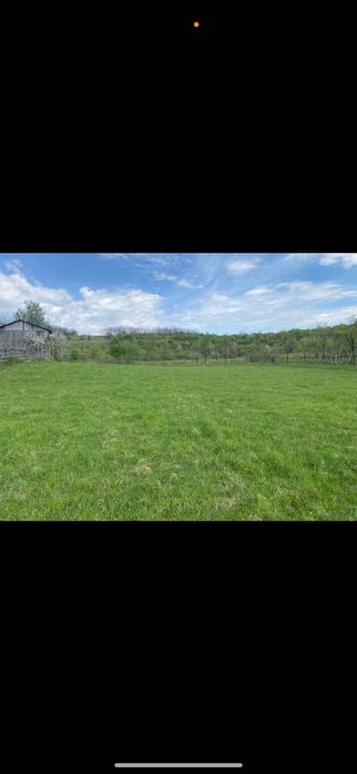 Teren Sălciua Nouă 6000 mp