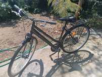 Bicicleta cursiera dama