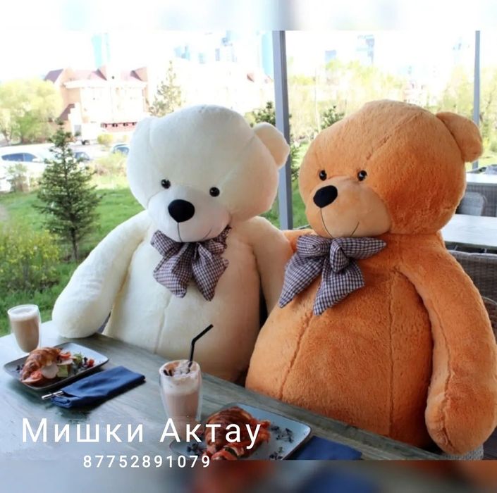 Мишки новые по Актау