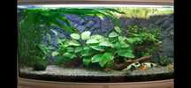 Acvariu AluDekor 120 oval / Background 3D / sistem CO2