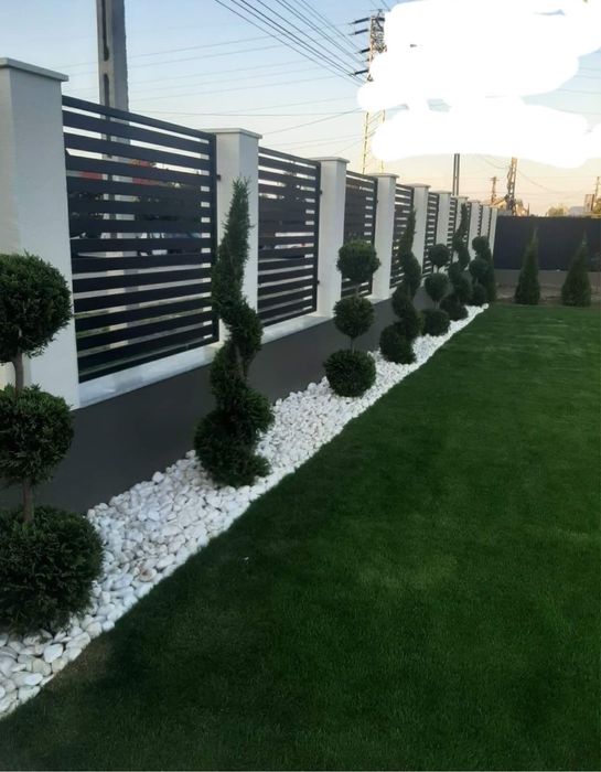 Copacii ornamentali plante ornamentale