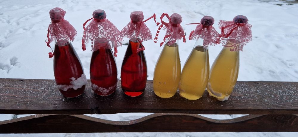 Sirop de brad cu molid si sirop de soc