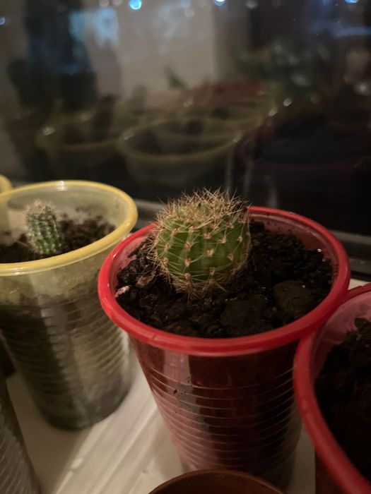 Обменяю или продам за символическую сумму