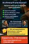 Servicii IT Profesionale