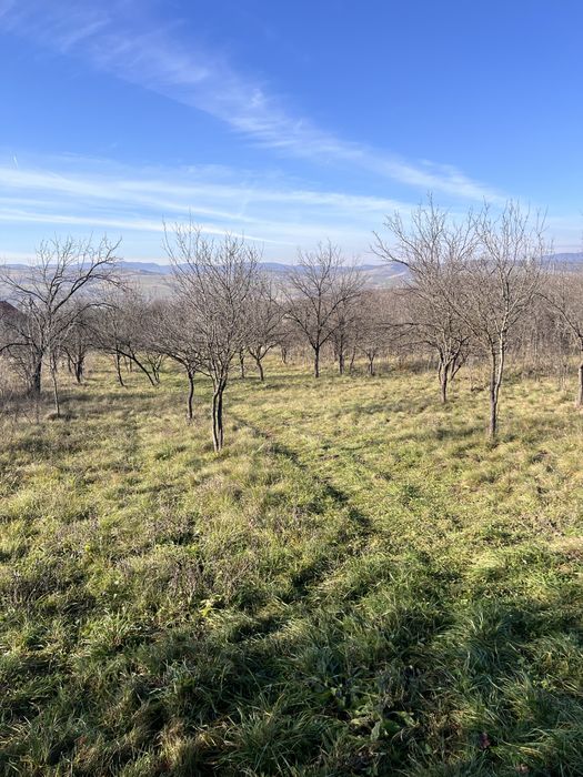 Teren de vânzare în Hunedoara