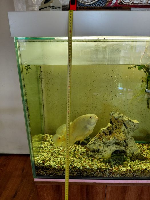 Аквариум с шкаф ш40 см 55см 80см аквариум 40см.   80см. В 80см.