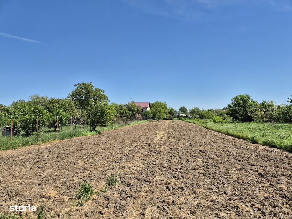 Teren intravilan 2658 mp - 1 Decembrie, Ilfov