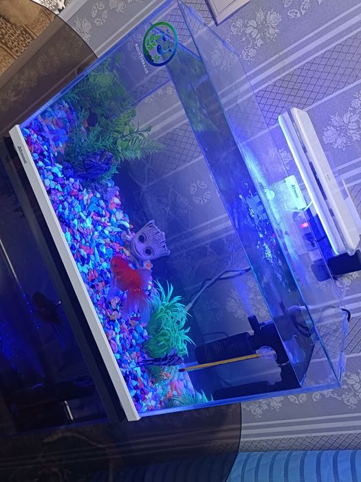 Аквариум сотилади