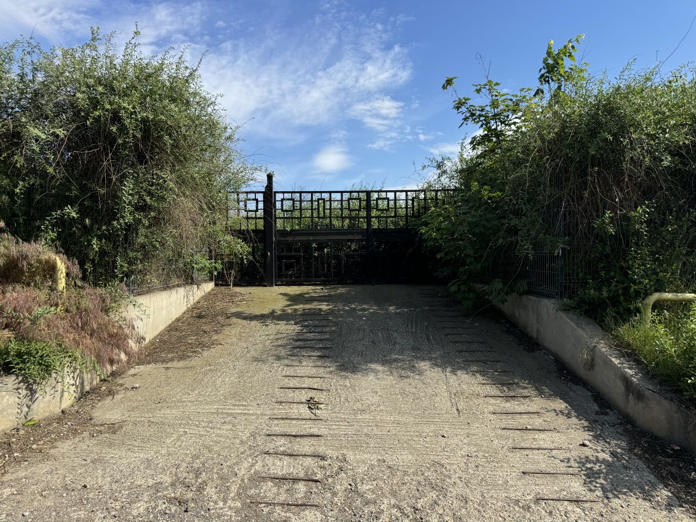 Inchiriez teren la stradă 1200 m2, str. Visan nr.2