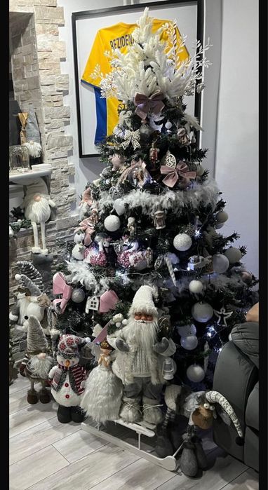 Brad Craciun, verde argintiu, conuri