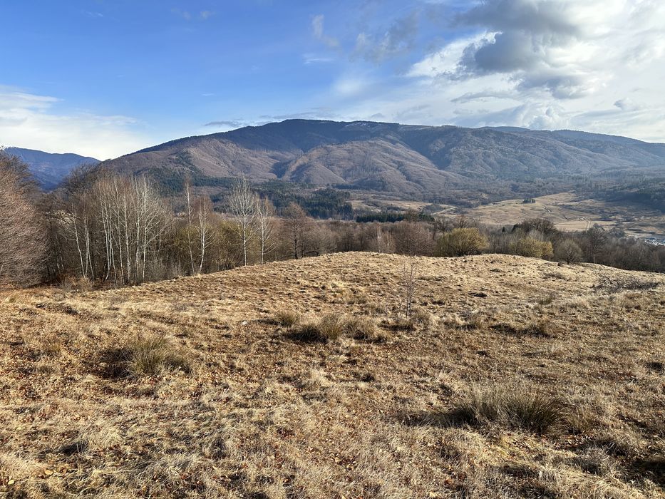 Teren zona montana