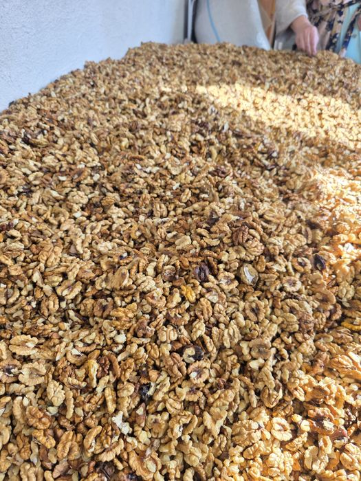 Miez de nuca proaspăt de anul acesta