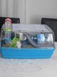 Cușcă cu tot cu hamster , hamsterul este pitic