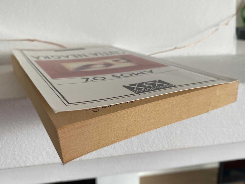 Cutia neagra de Amos Oz