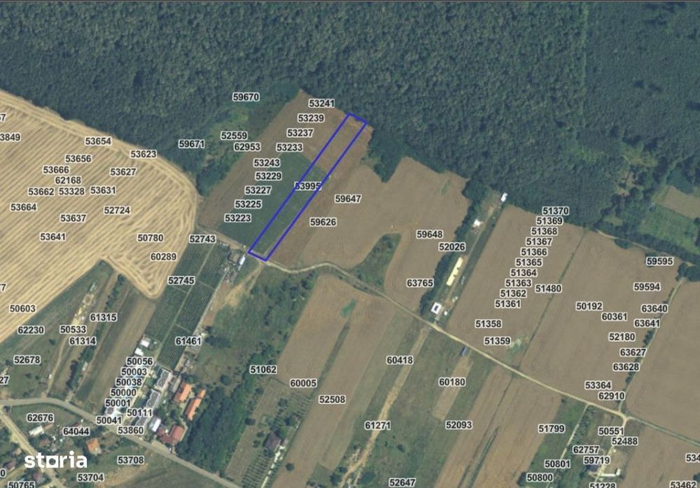 Doua Terenuri Izvorani 2x6000 mp