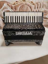 Vand acordeon Cantulia