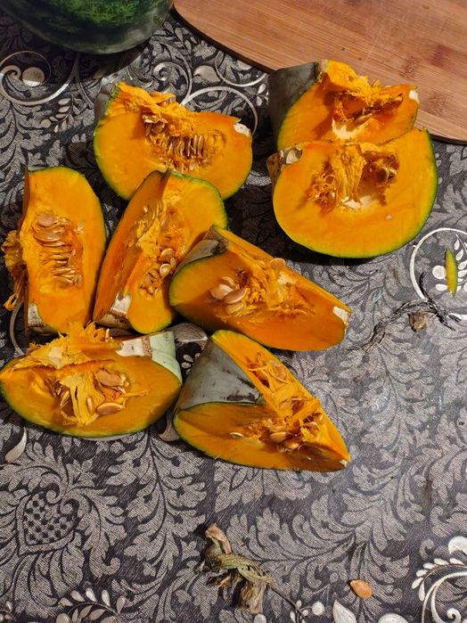 Dovleac de copt sau placinte