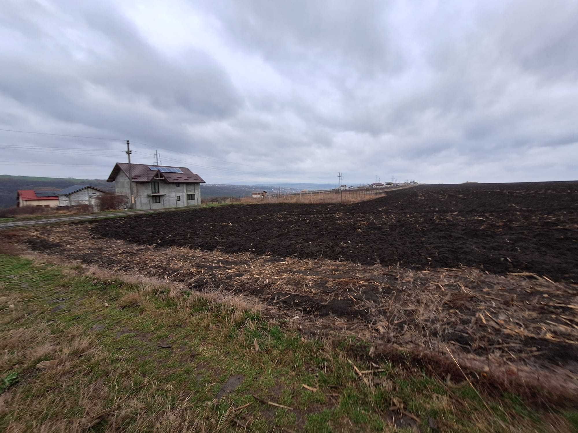 teren de vanzare in extravilan Valea Lupului