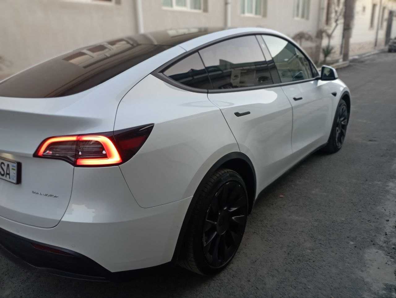 Tesla Model Y Long Range Dual motor(USA)