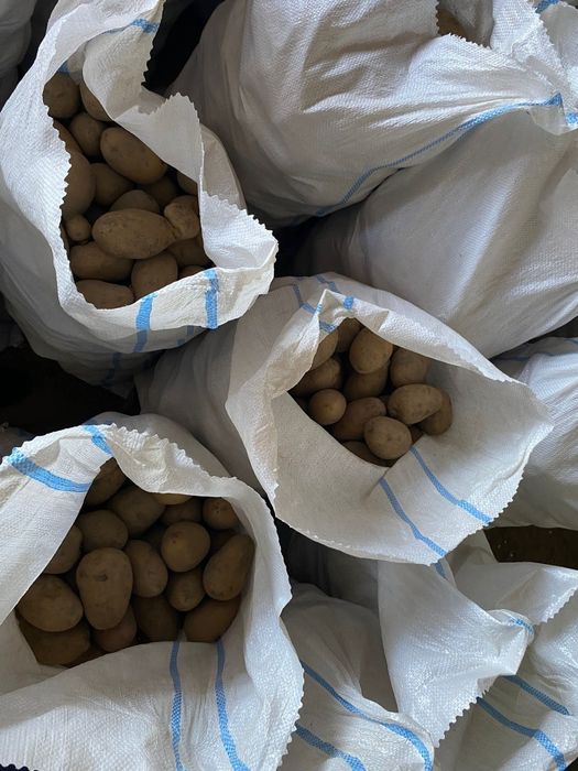 Cartofi rosii si albi