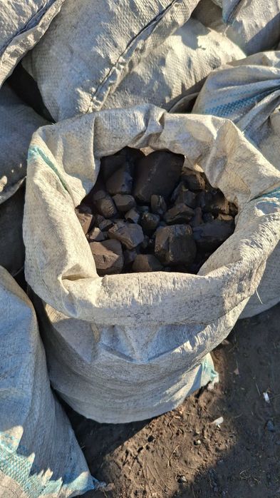 Шубаркуль 1500тенге, Майкубинский 1300тг