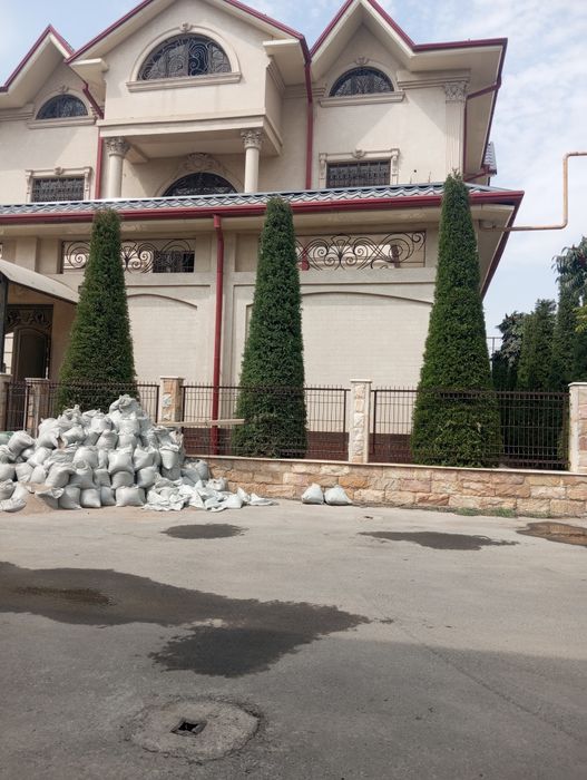 Bogʻbonchilik daraxtga ishlov berish