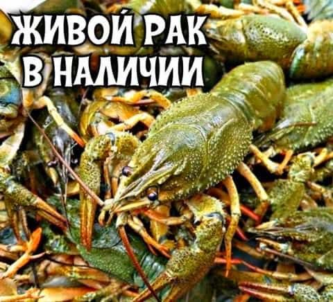 Продам срочно продам