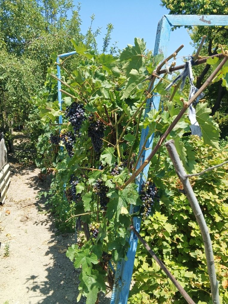 Продам дачу на ПМК 29
