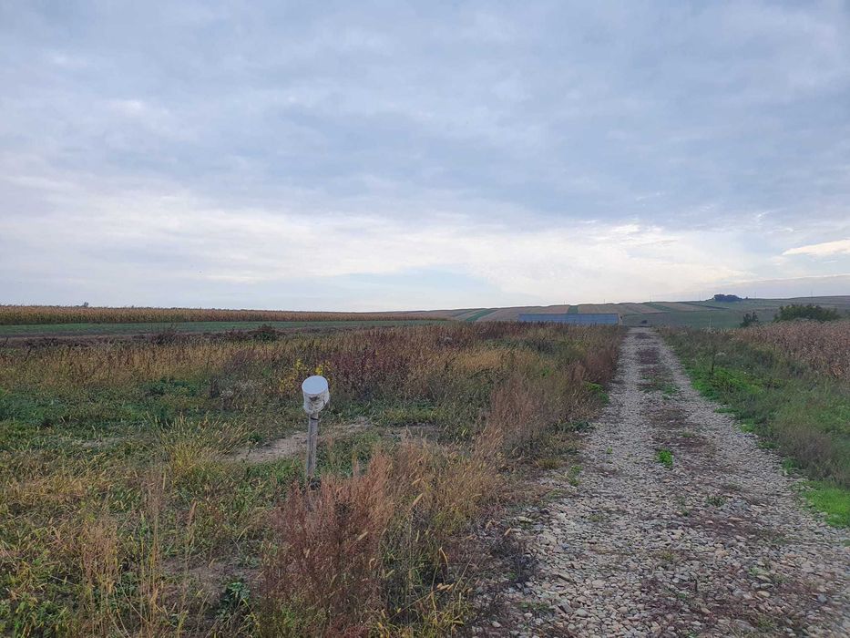 parcele de teren langa Botosani pt investitii