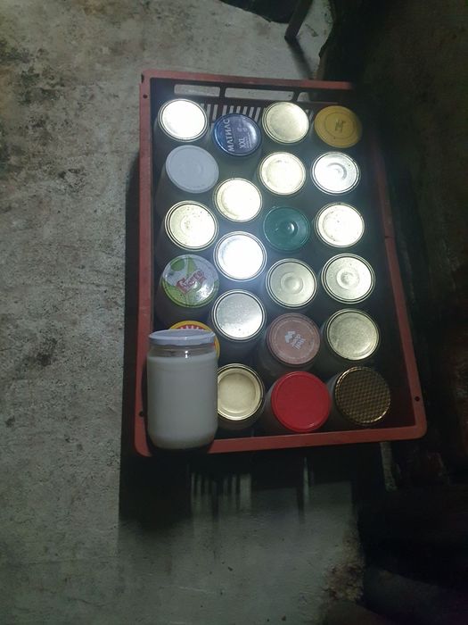 Домашна Свинска мас