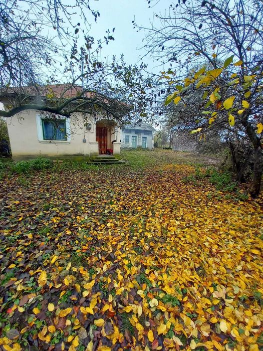 Casă + Teren INTRAVILAN de vânzare în Gura Foii – O oază de liniște!