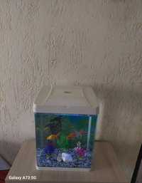 Аквариум 20 литров с рыбками