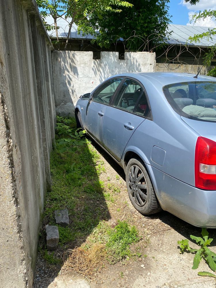Nissan Primera P12