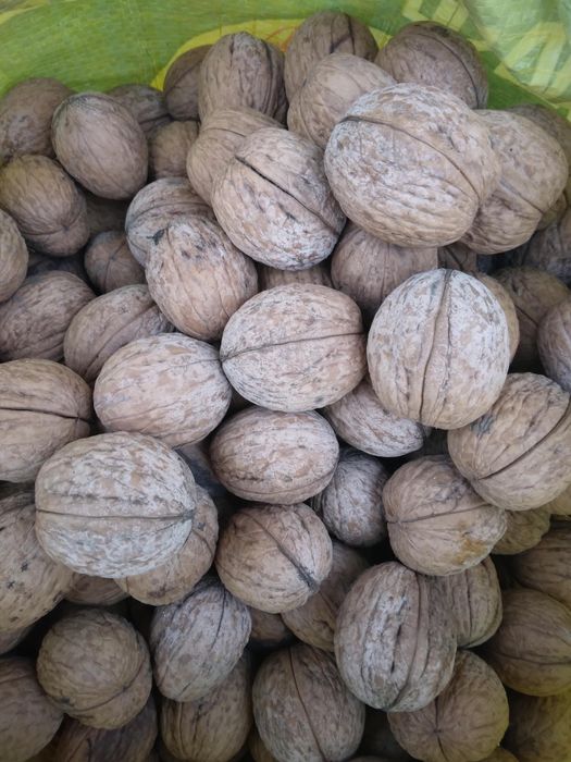 Vând nuci in coajă la 10 lei kg trimit prin posta