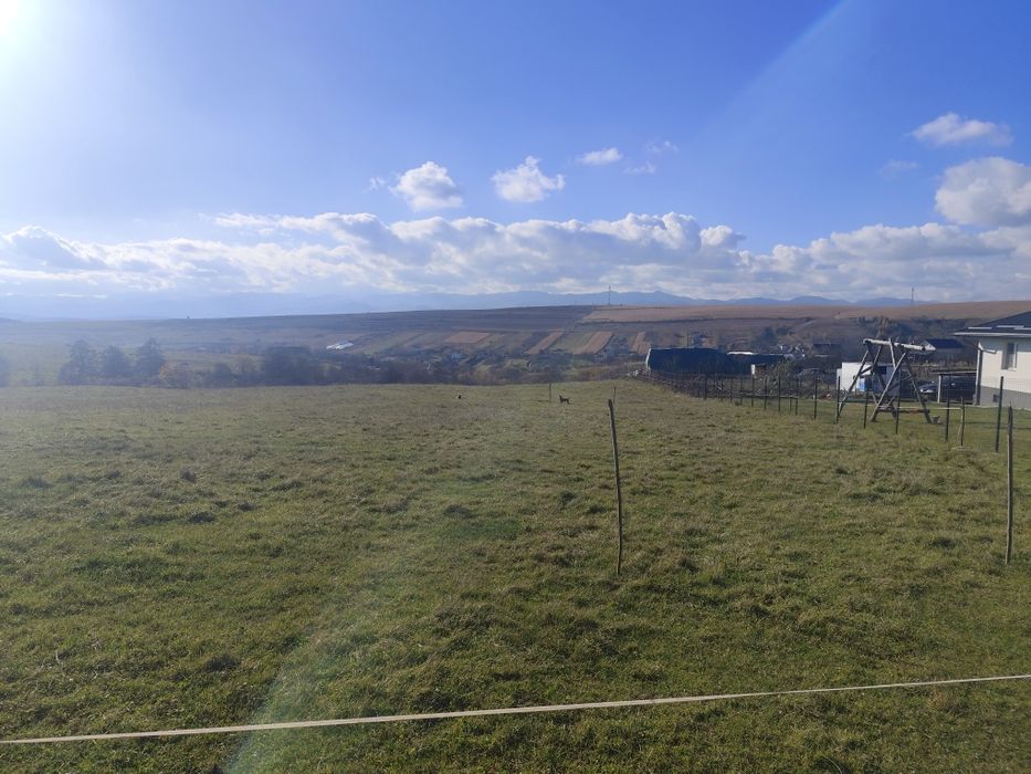 Vând teren Salicea com Ciurila