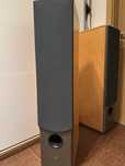 Boxe Dynaudio Audience 82