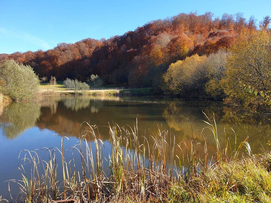Teren cu lac, în sat Izvoarele Com. Cernești, jud. Maramureș