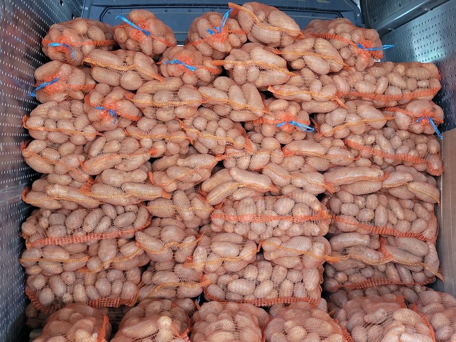 Cartofi cu miez galben ,