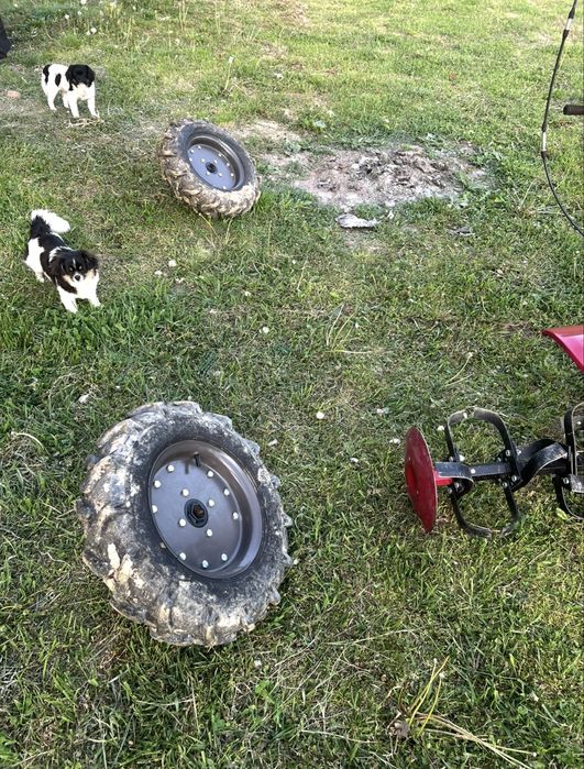Motocultor Weima 1100 be diesel