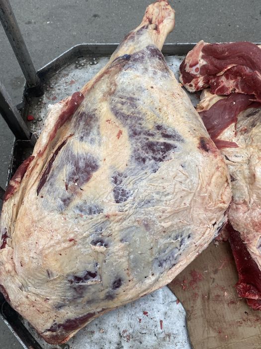 Сиыр етін сатамын(молодняк)