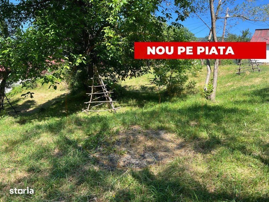 Teren 4996 mp zona de munte Comuna Arefu-Capataneni Arges