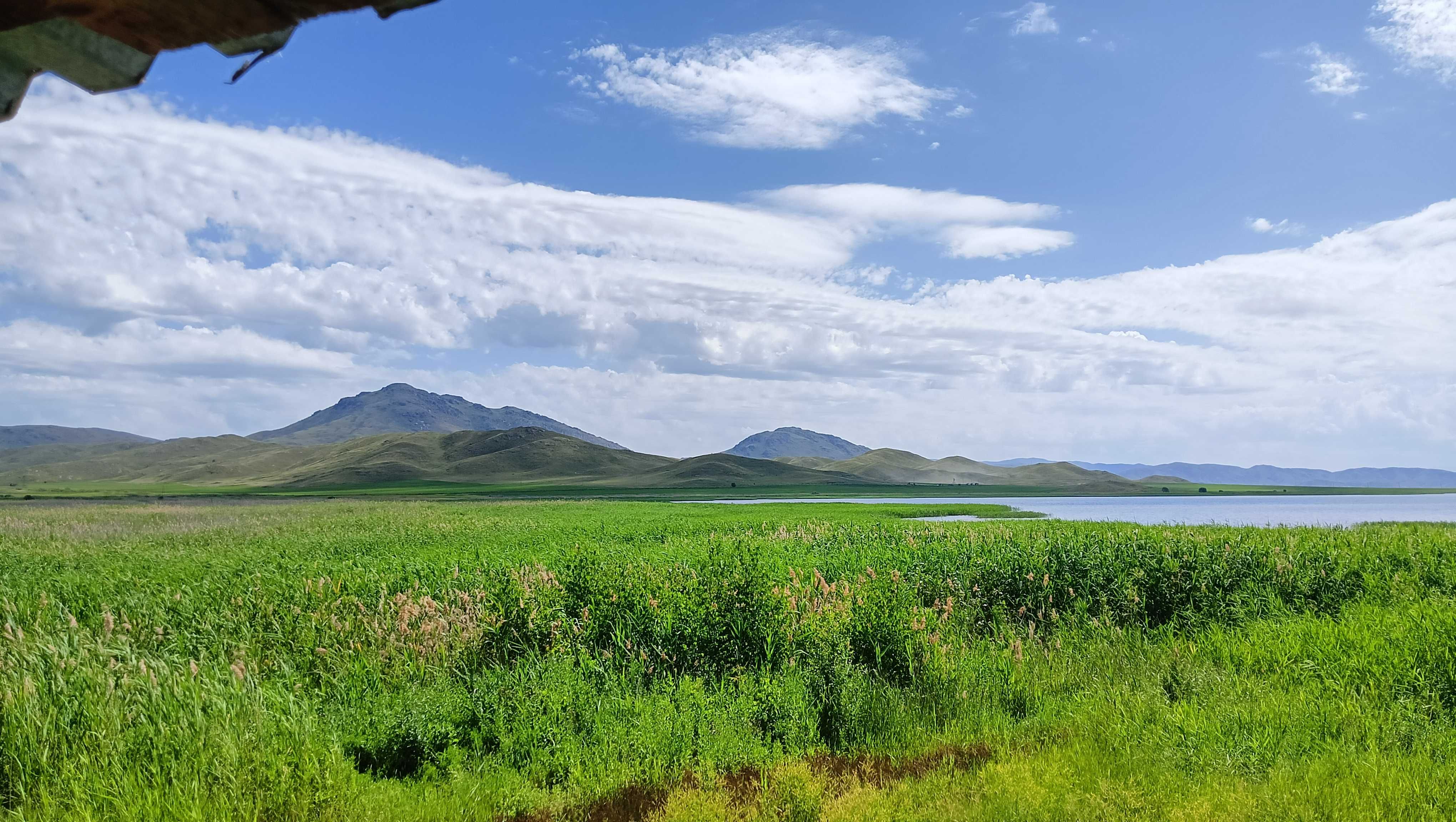 Продается дом у водоема (гараж на море)