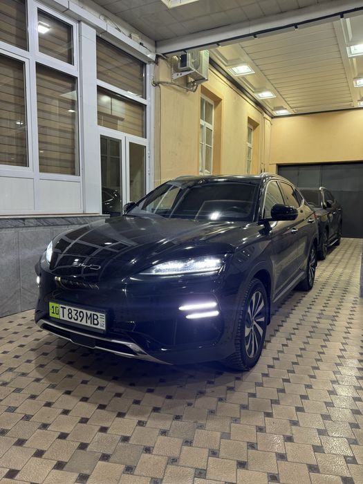 Chempion Honor Full 605