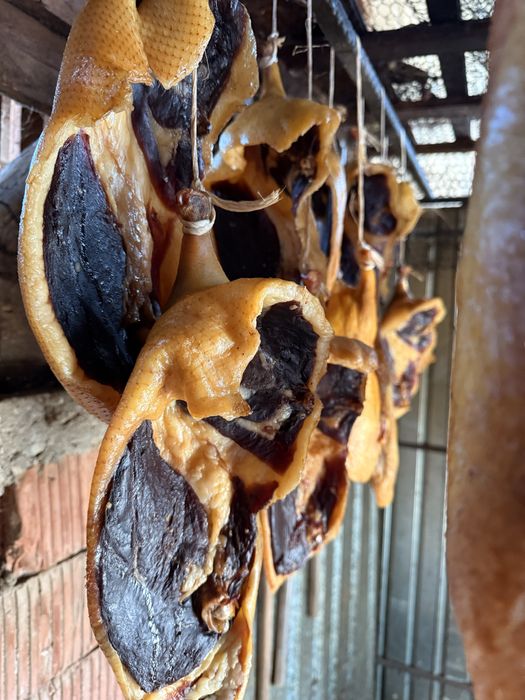 Sunca de rata afumata