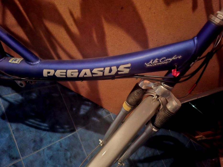 Bicicleta Pegasus -Made in Germany