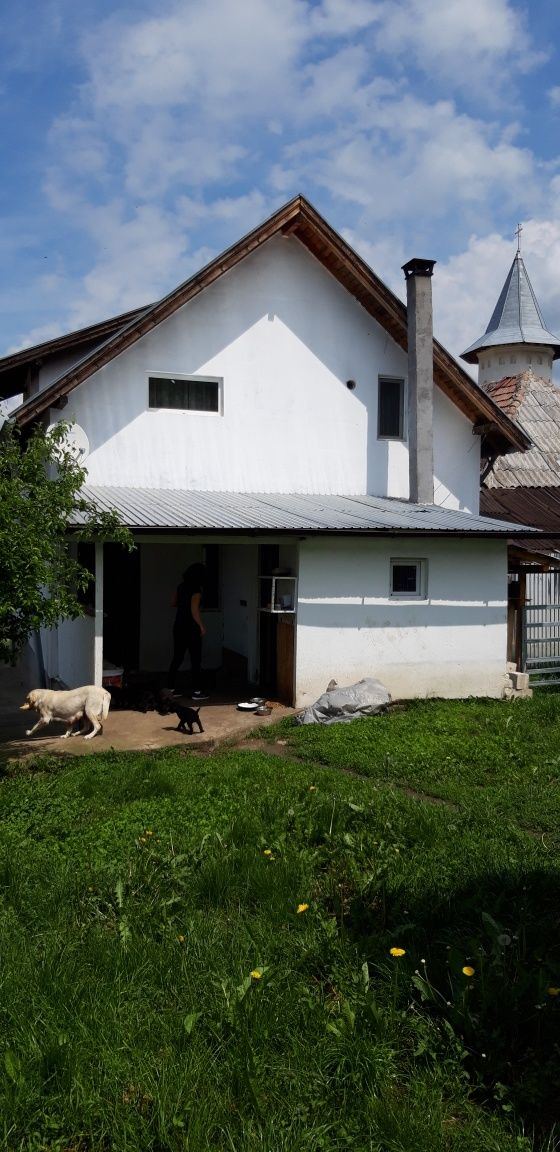 De vanzare casa tip duplex