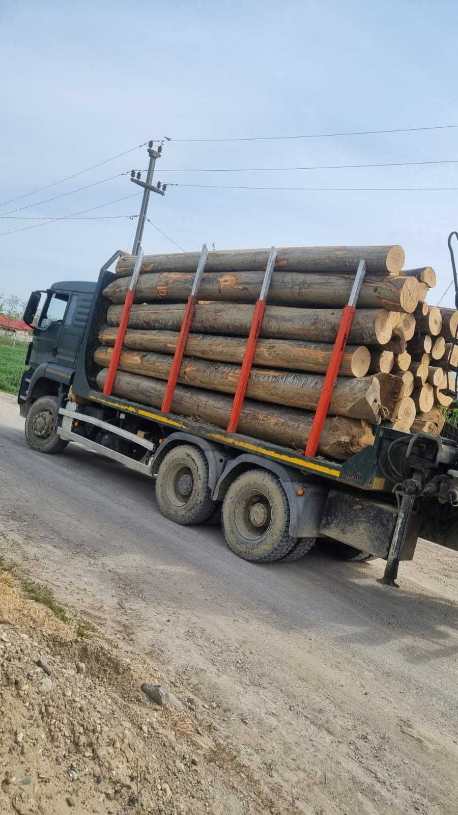 Lemne de foc uscate si taiate, salcam si fag, transport Galati-Braila