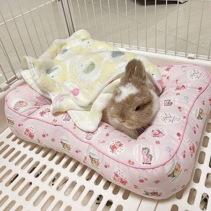 Sovg‘a topolmayapsizmi?