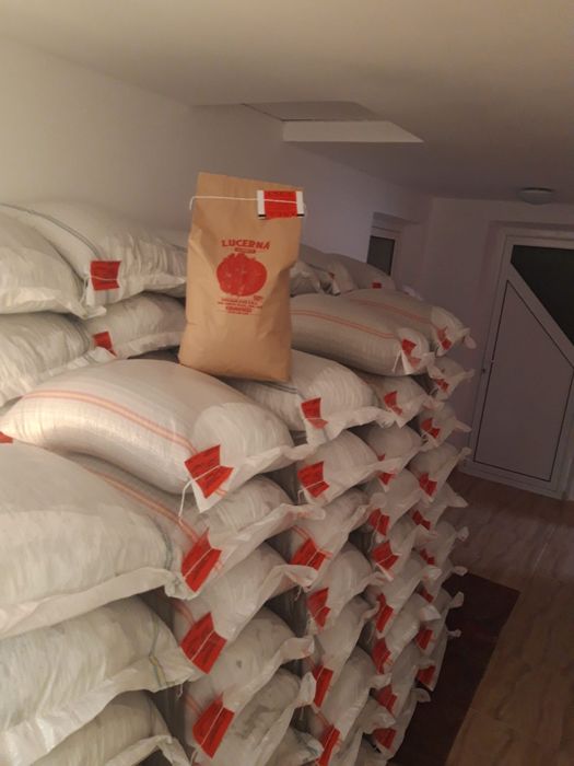 Sămânță Lucerna Certificata Sandra, Mădălina, Dobrogea, Mihaela