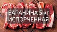 Отдам даром мясо баранины испорченное